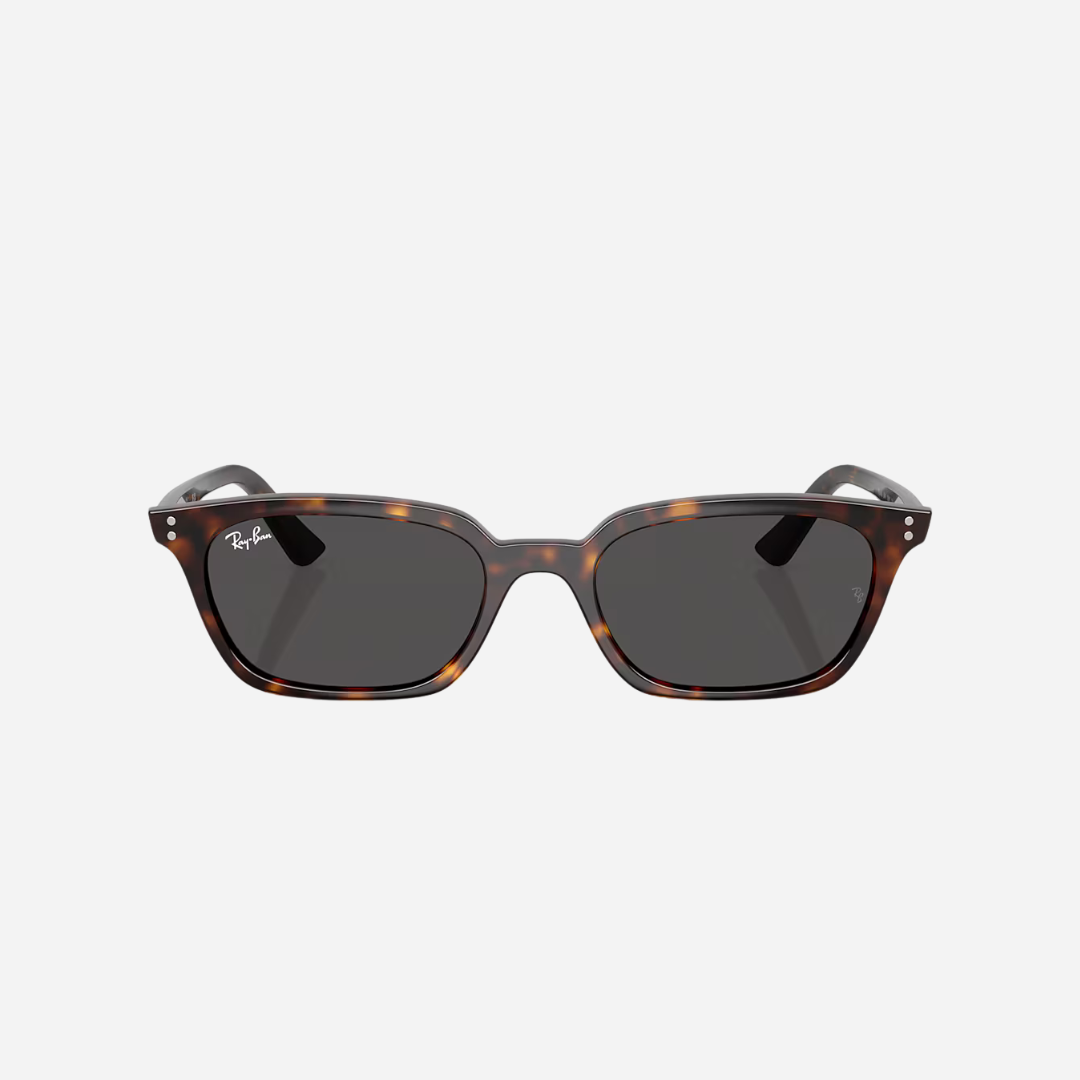 RayBan Zaya