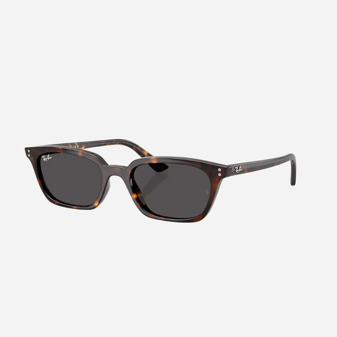 RayBan Zaya