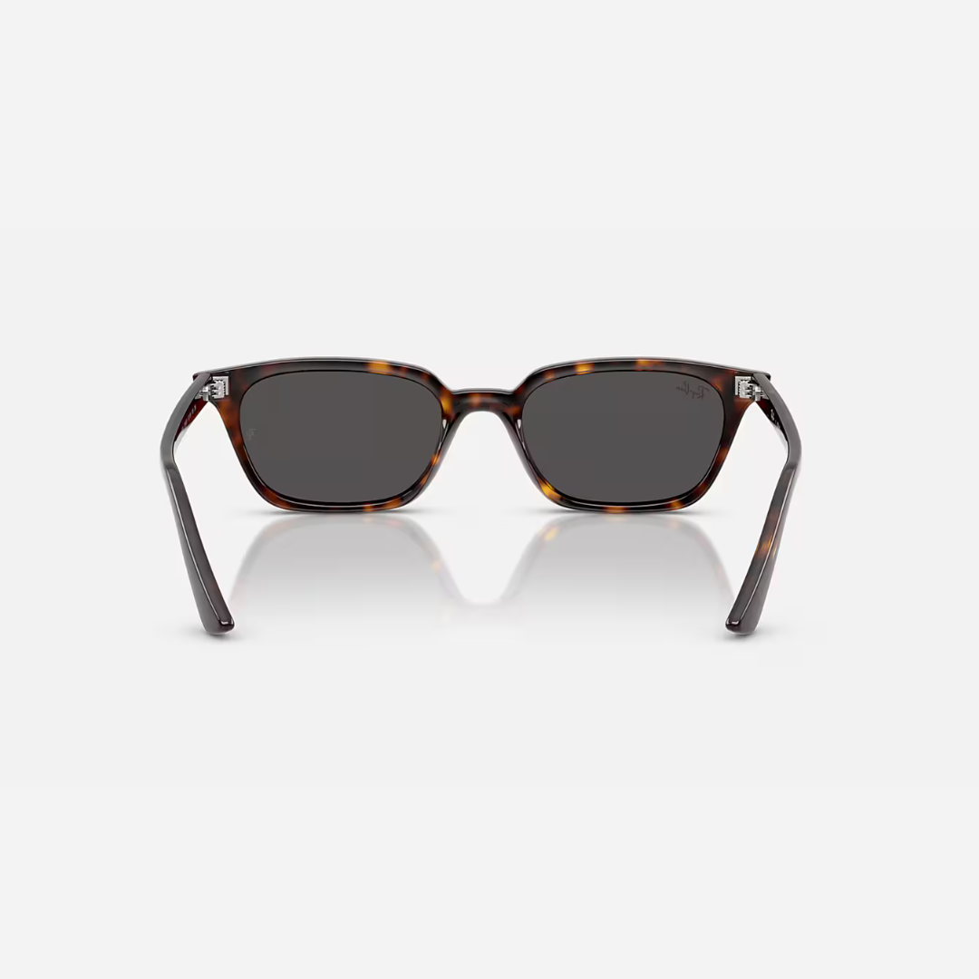 RayBan Zaya
