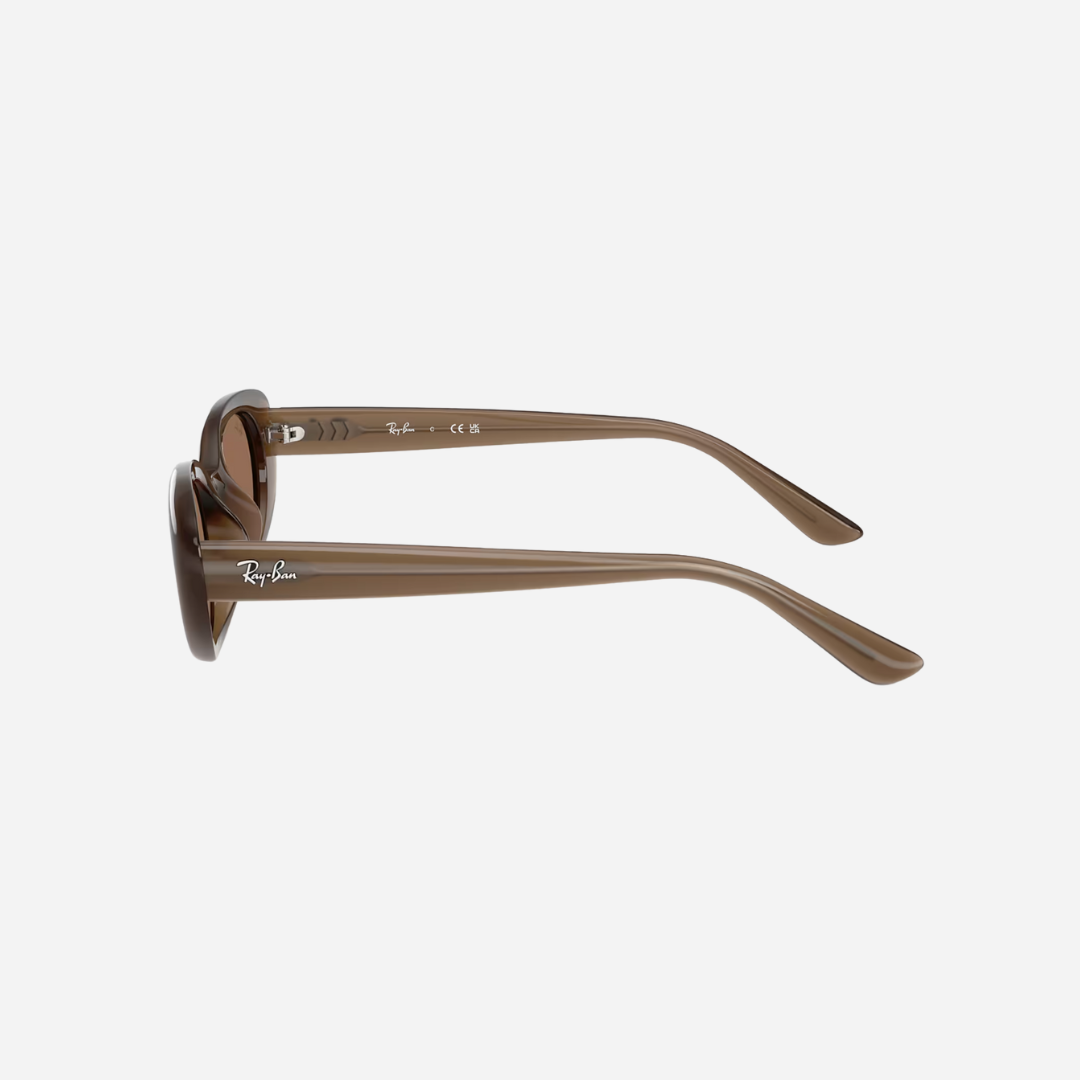 RayBan 4441D