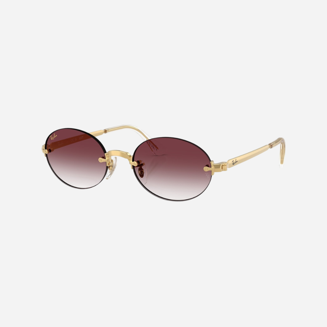 RayBan BY A$AP ROCKY 3929