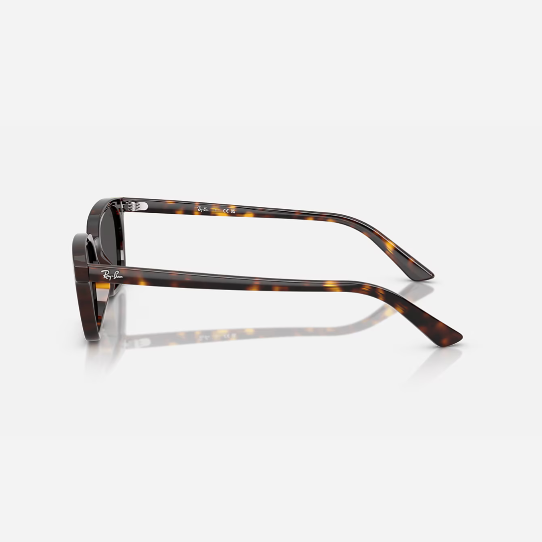 RayBan Zaya