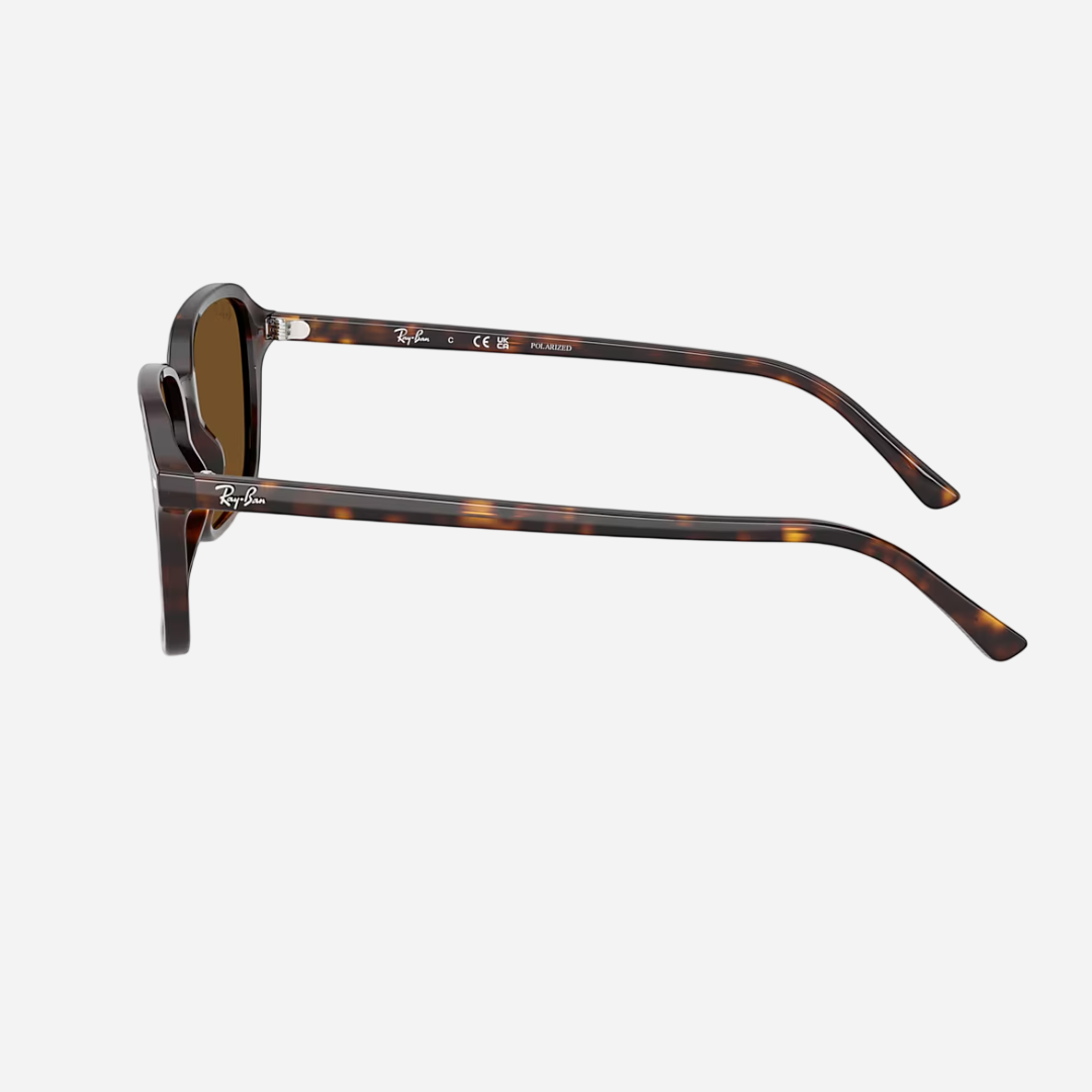 RayBan Raimond