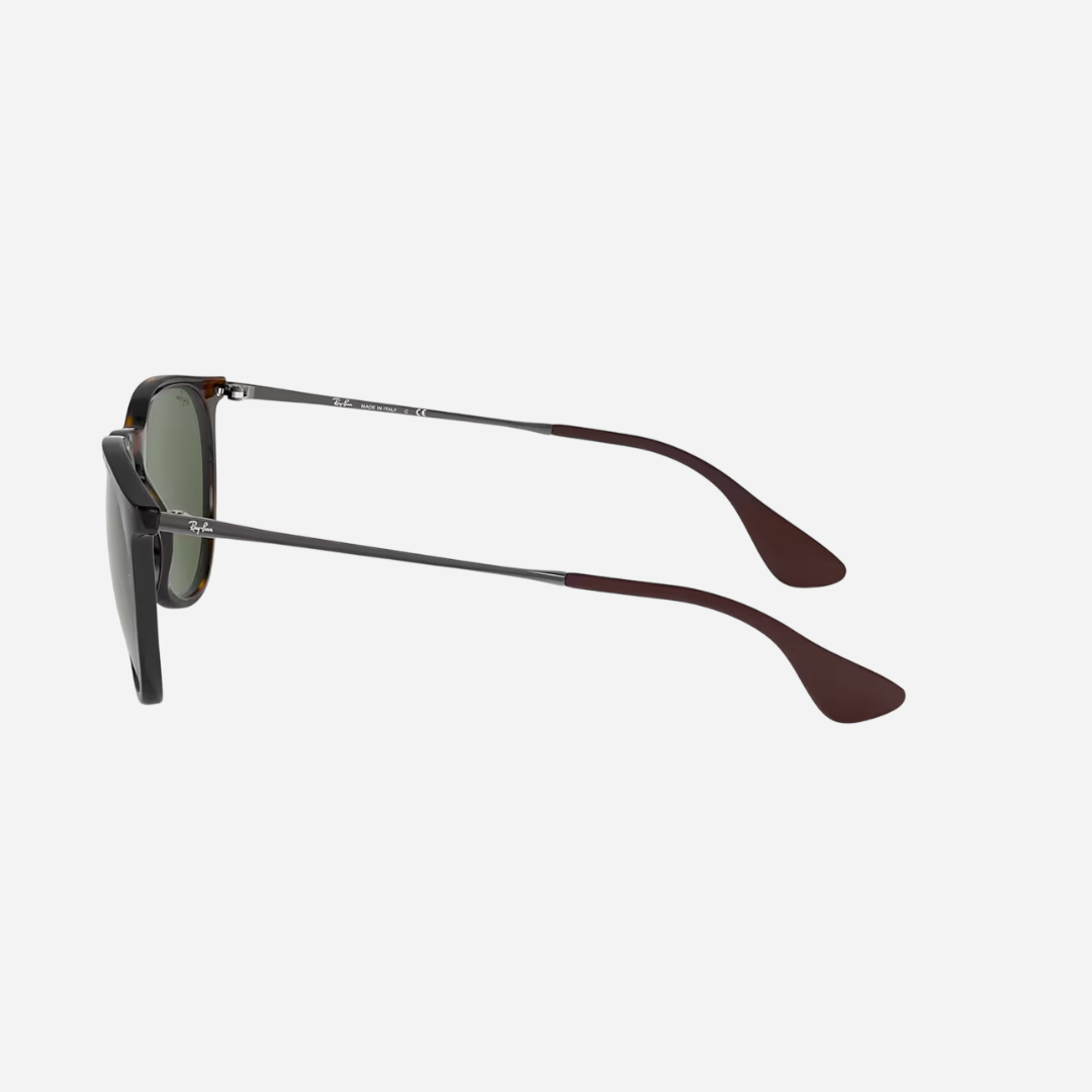 RayBan Erika