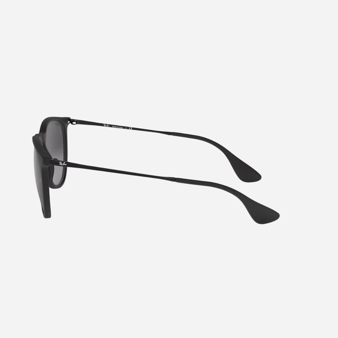 RayBan Erika