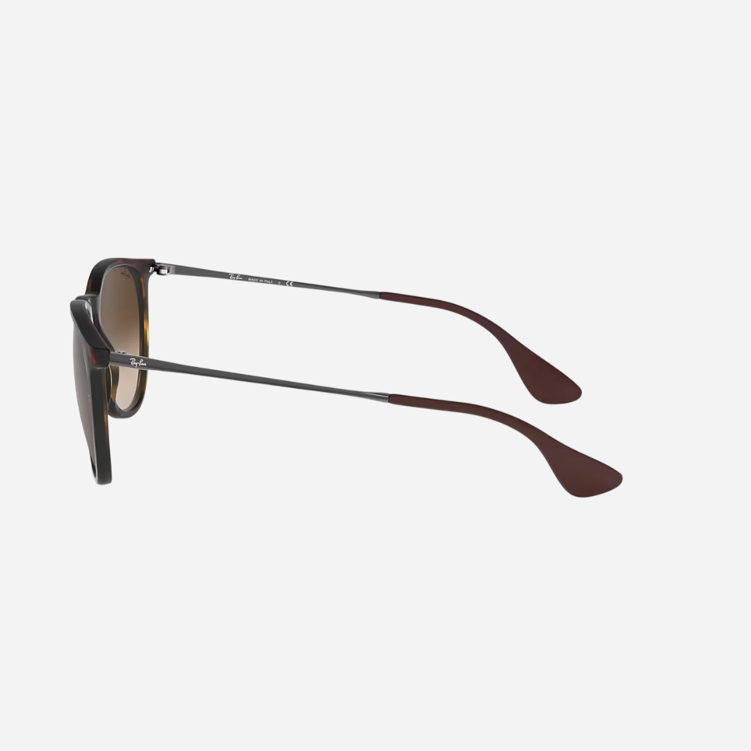 RayBan Erika