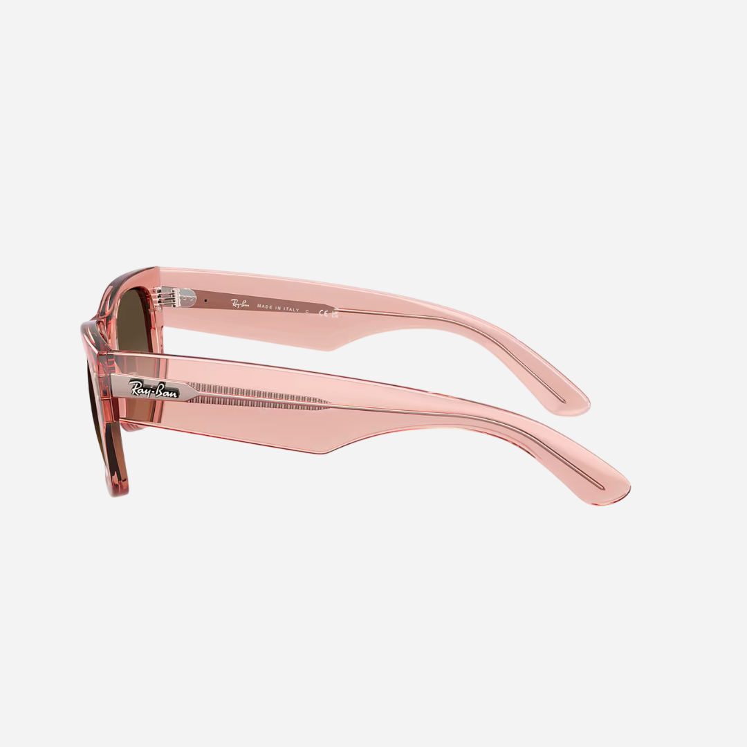 RayBan Mega Wayfarer