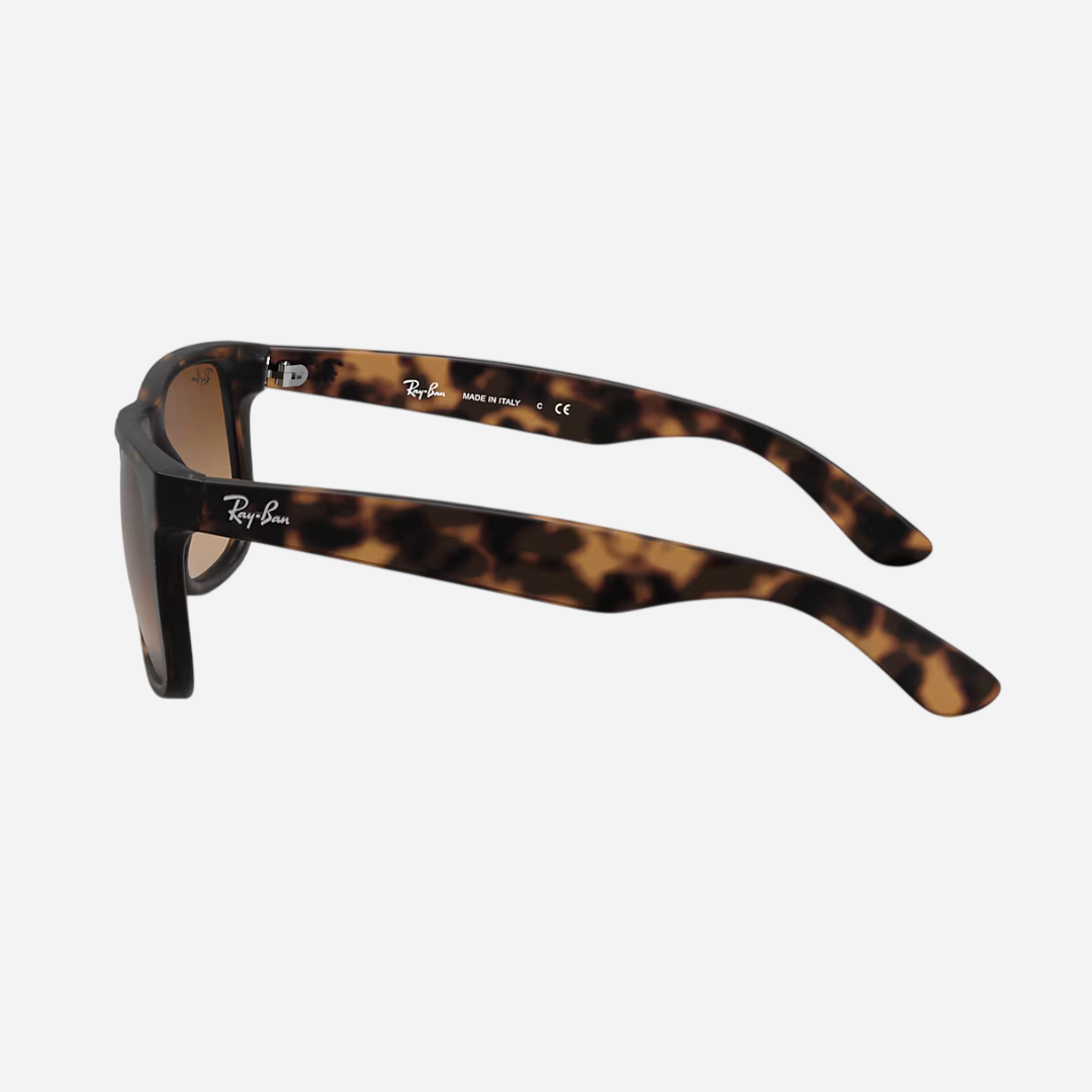 RayBan Justin