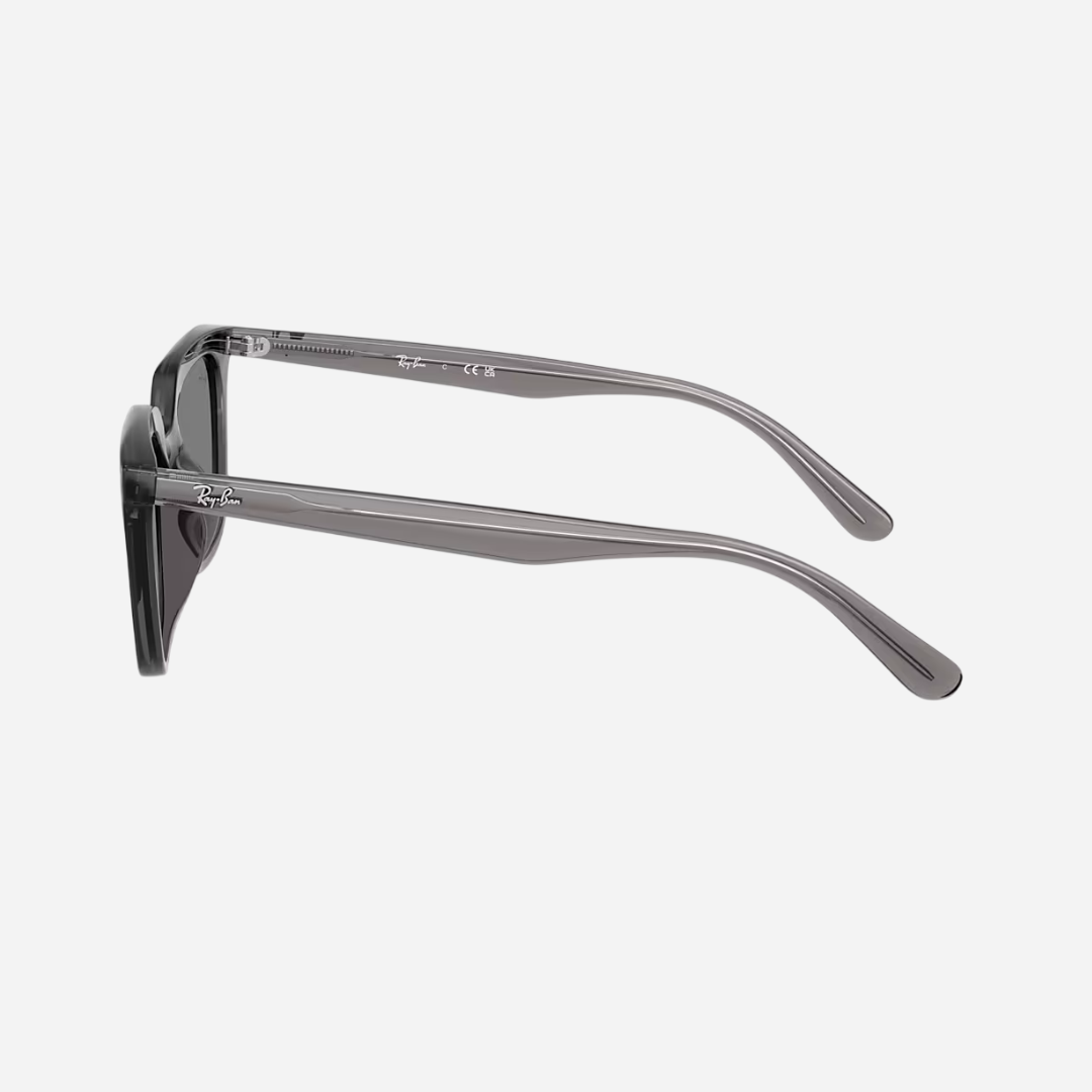 RayBan 4439D