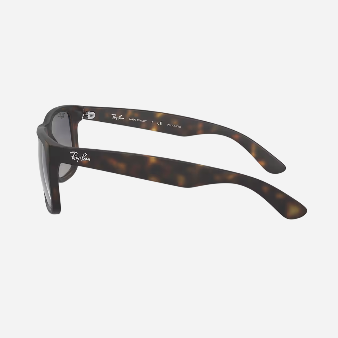 RayBan Justin