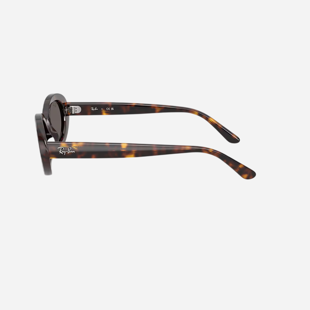 RayBan 2223