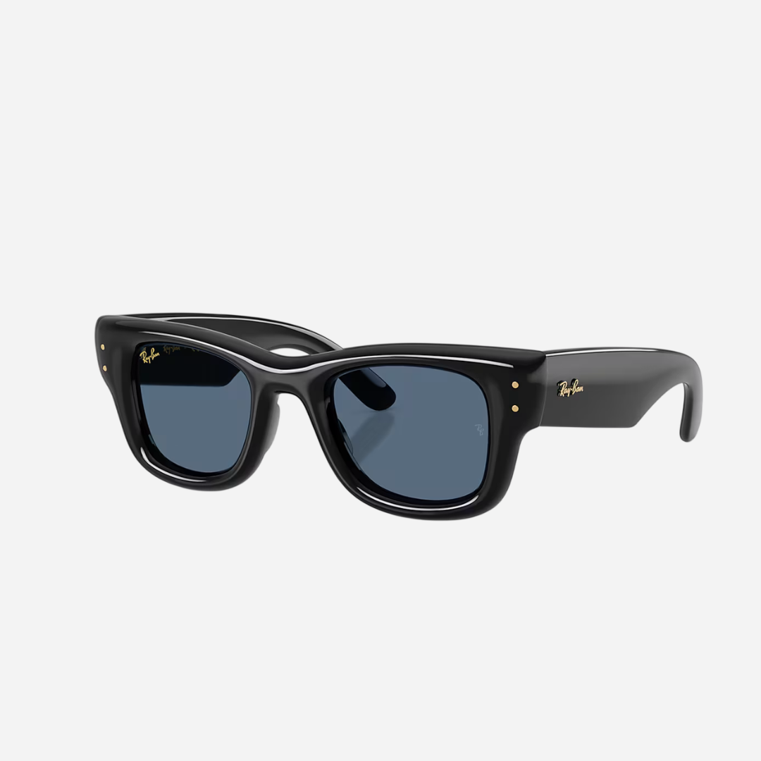 RayBan Wayfarer Puffer