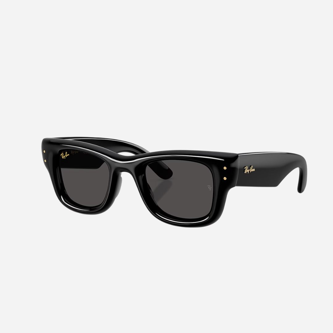 RayBan Wayfarer Puffer