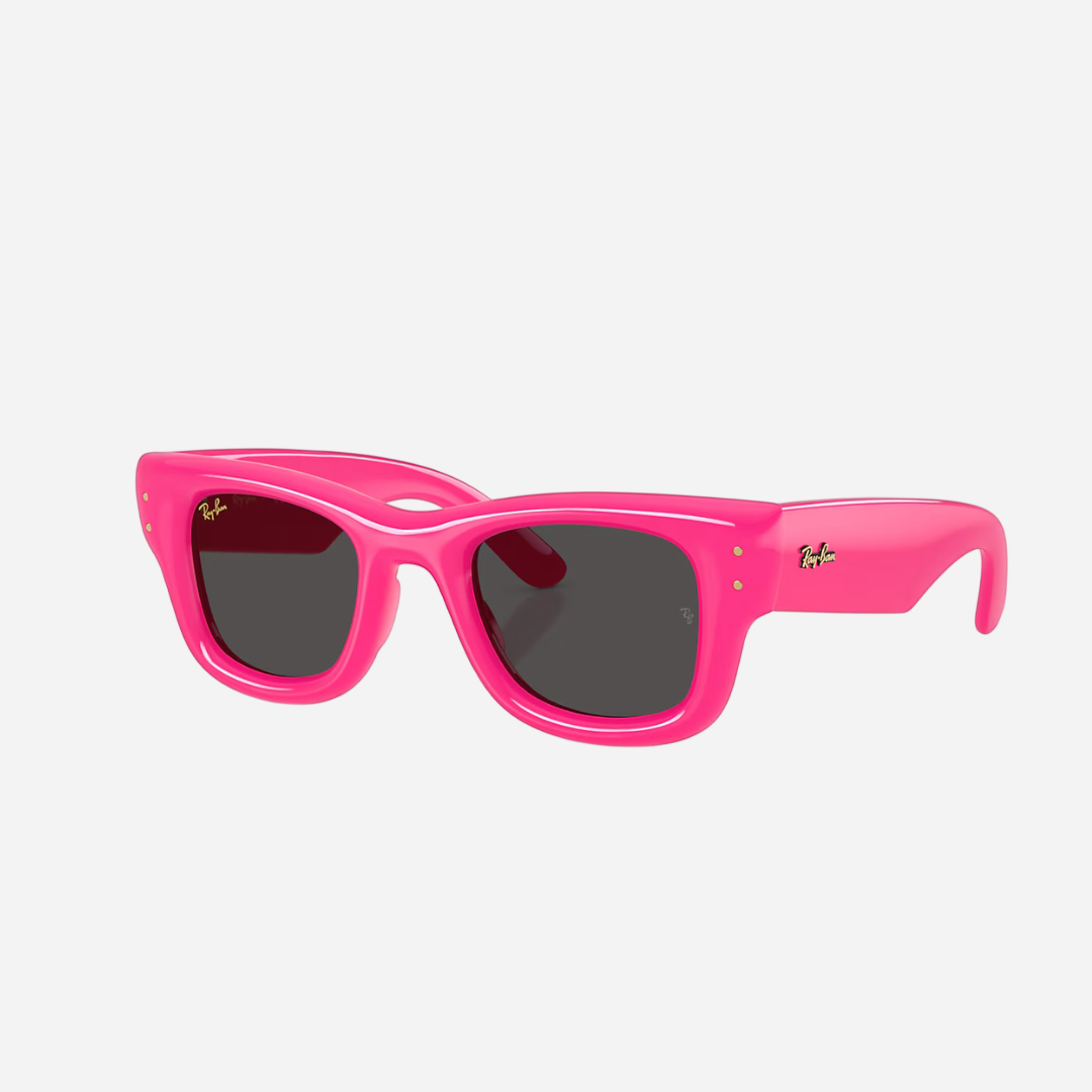 RayBan Wayfarer Puffer