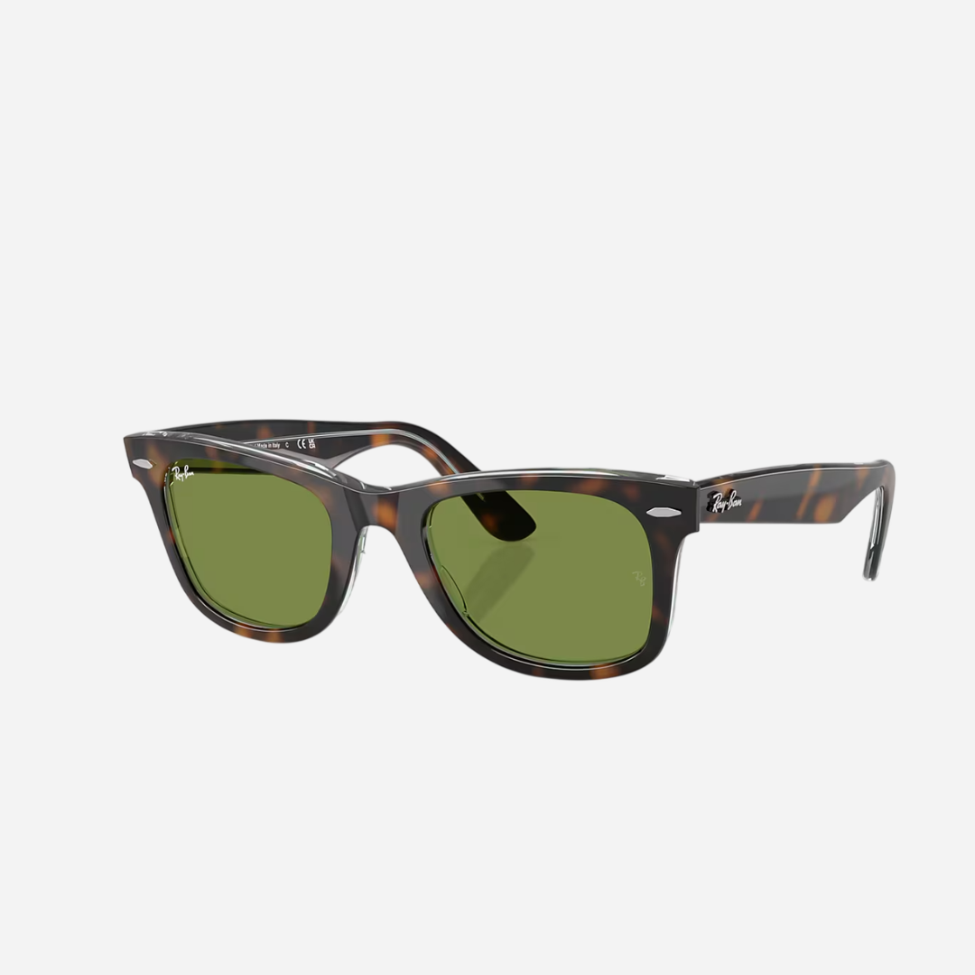 RayBan Wayfarer