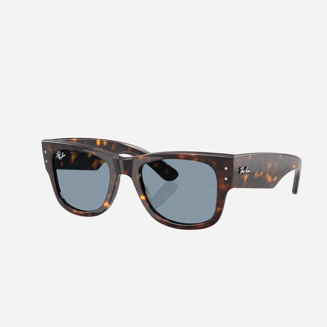 RayBan Mega Wayfarer