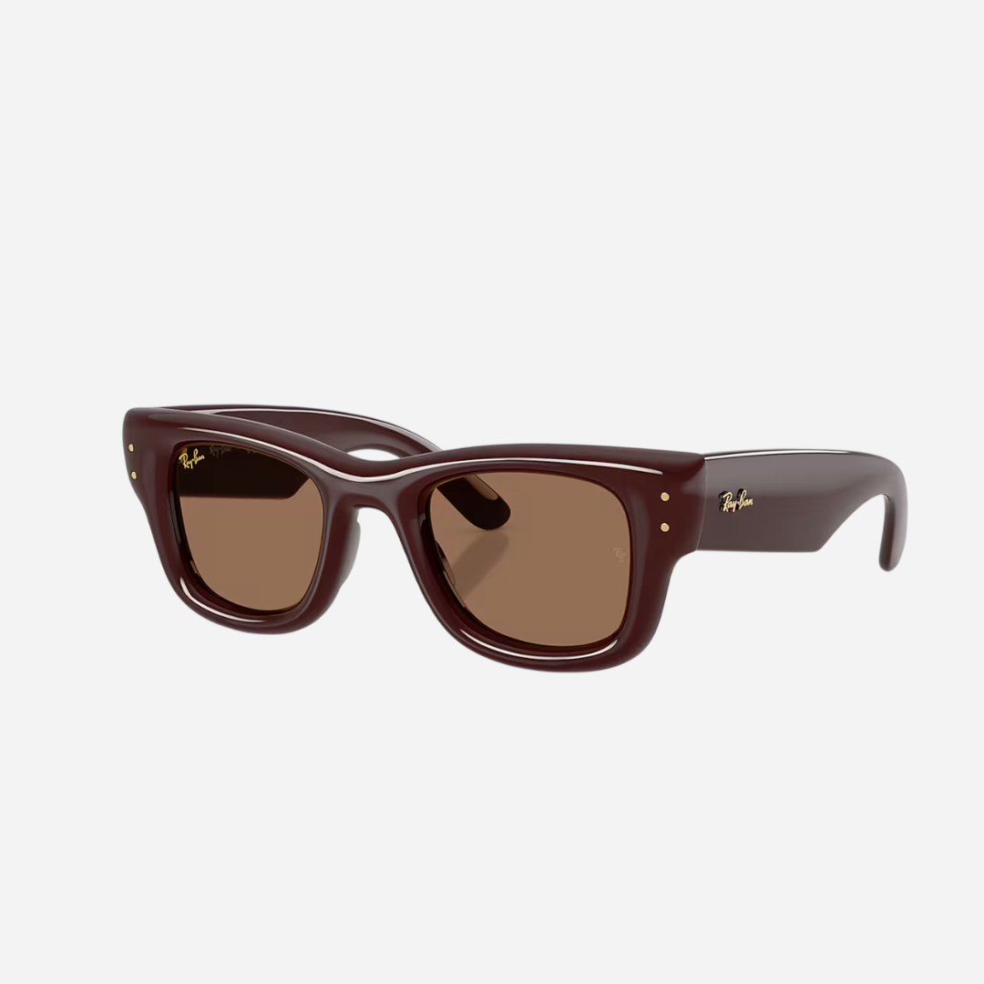 RayBan Wayfarer Puffer