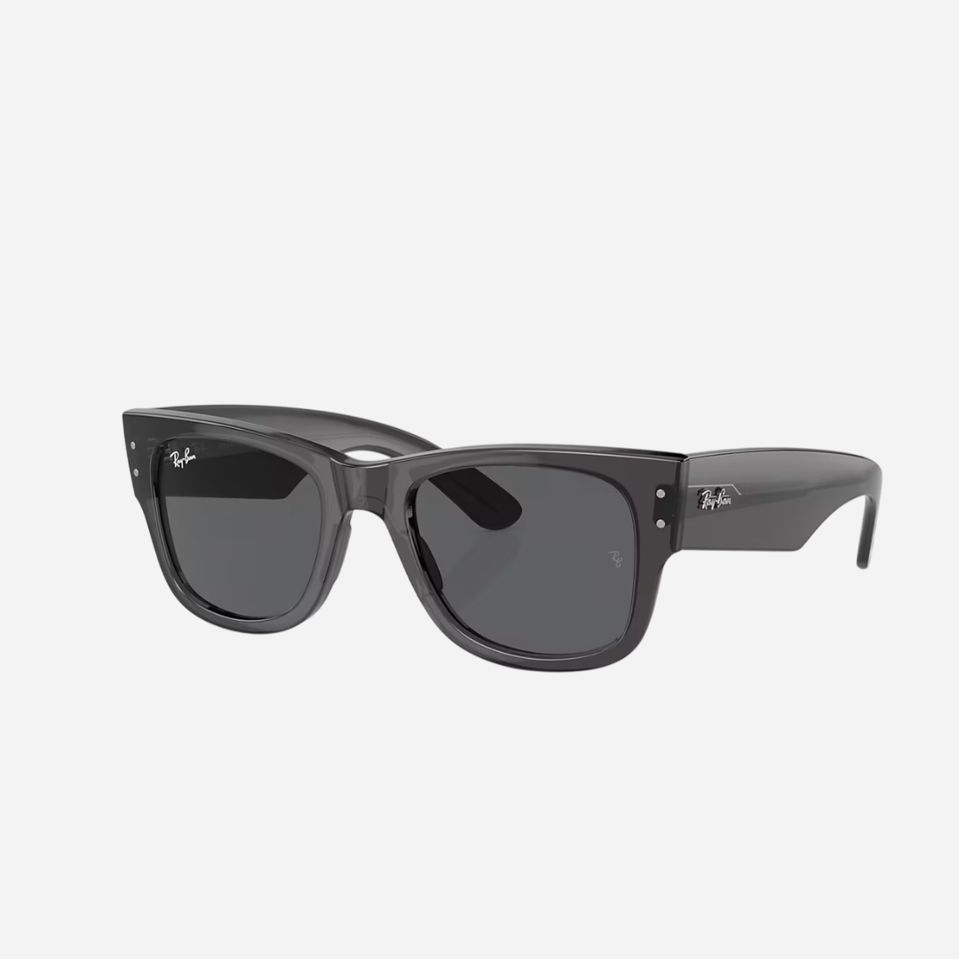 RayBan Mega Wayfarer