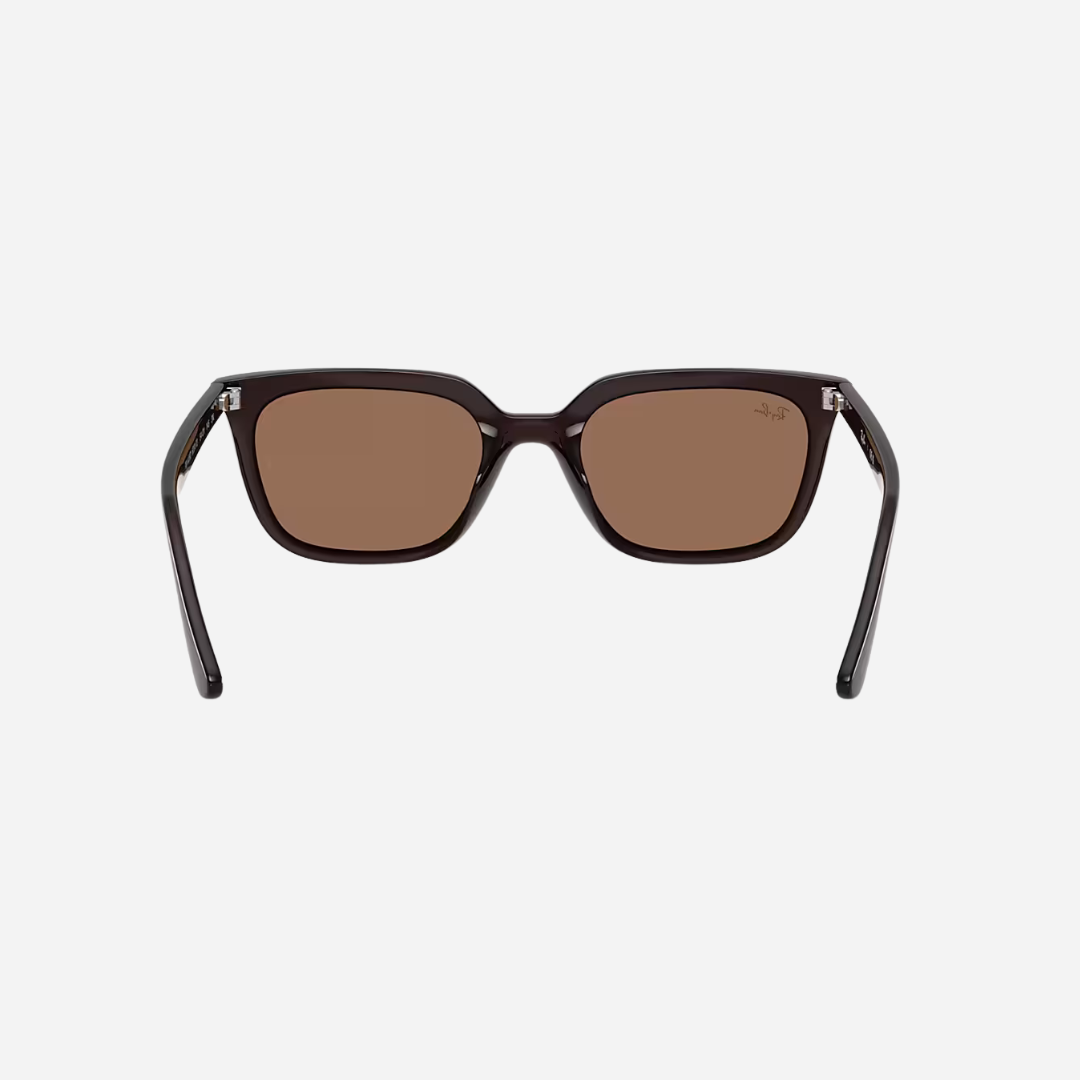 RayBan 4439D