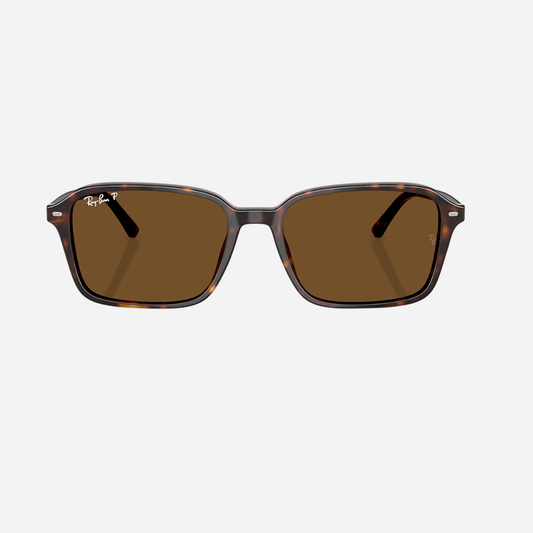 RayBan  Raimond