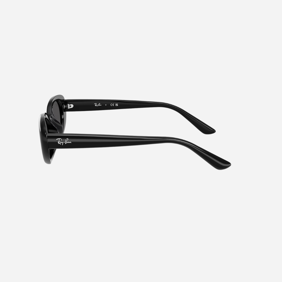 RayBan 4441D