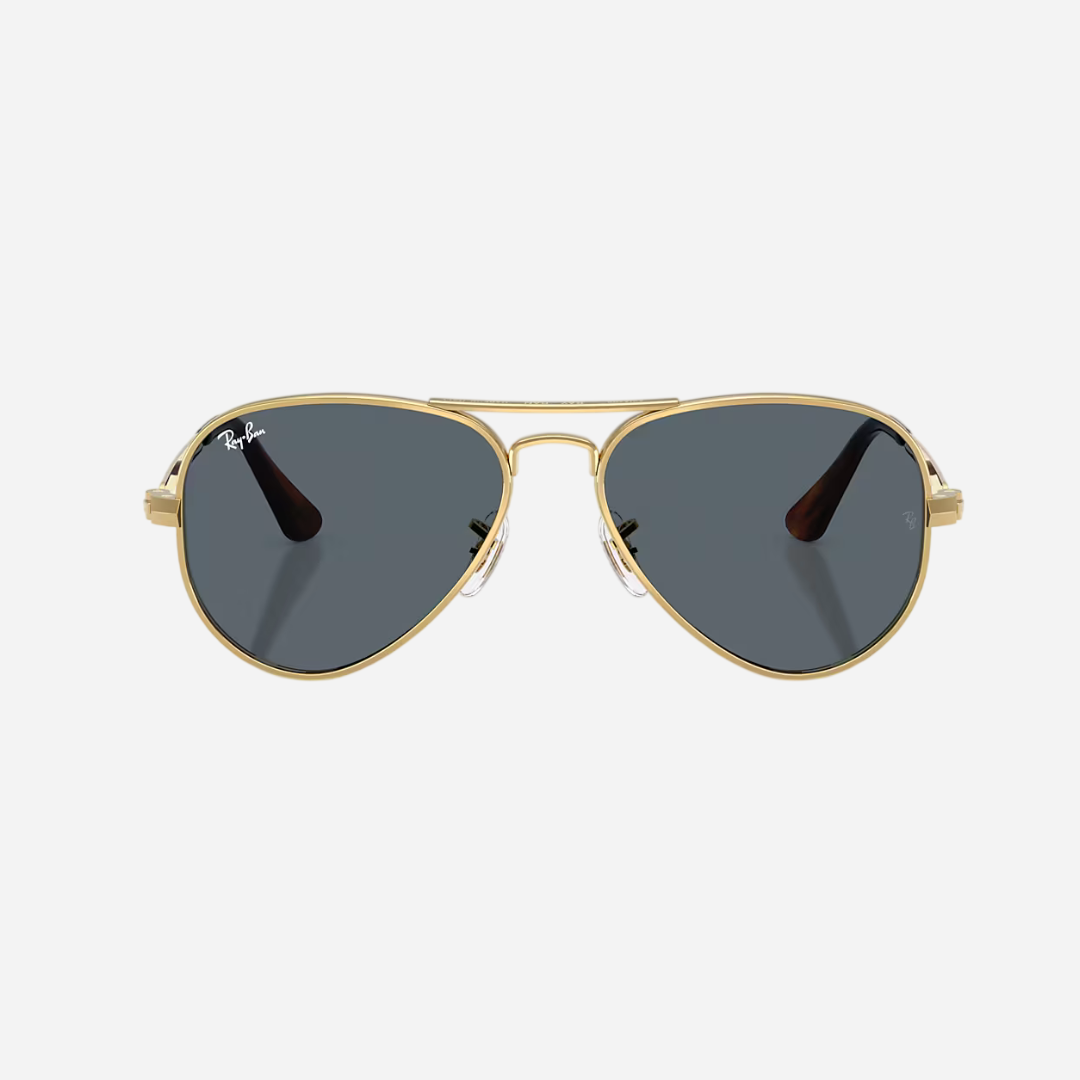 RayBan Aviator Max