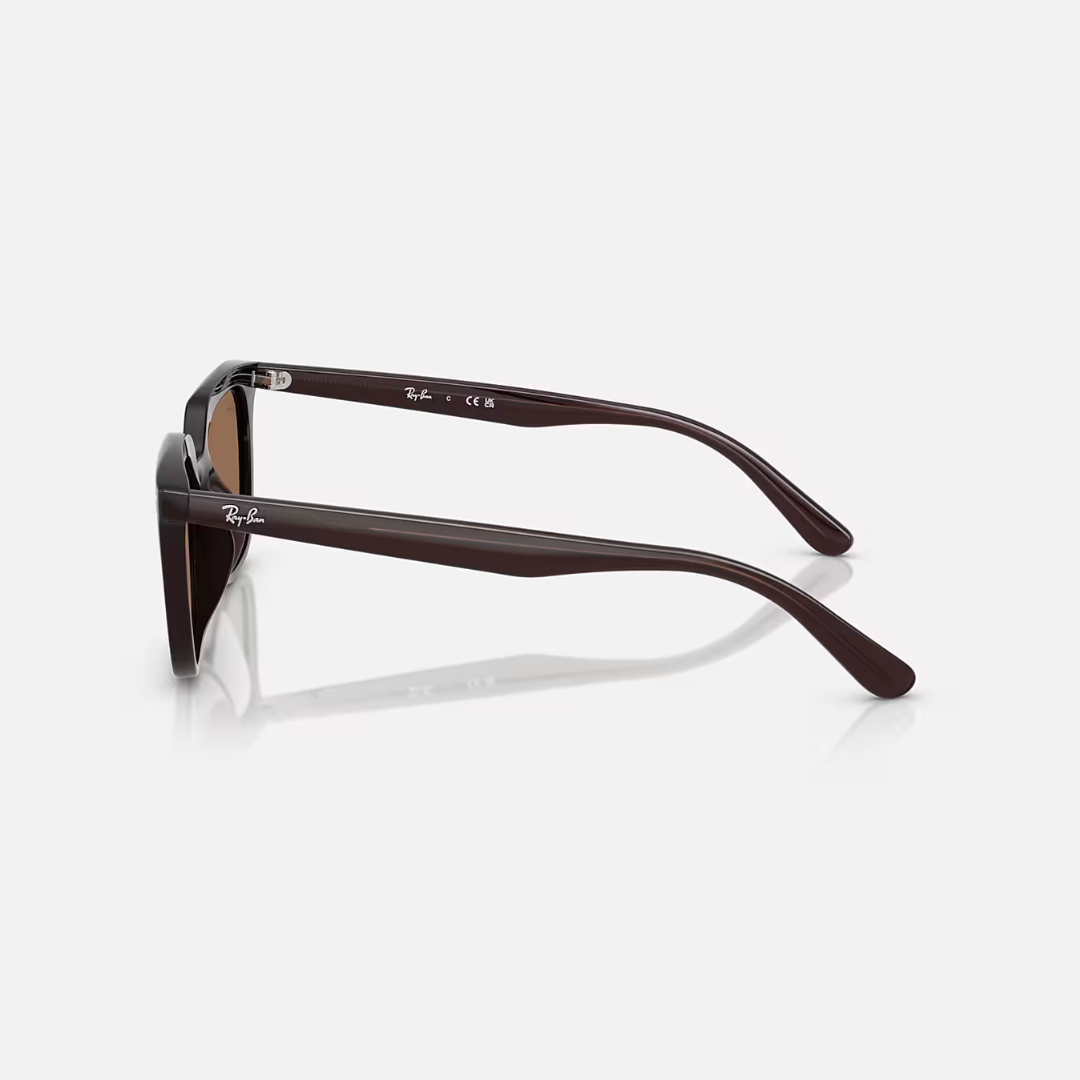 RayBan 4439D