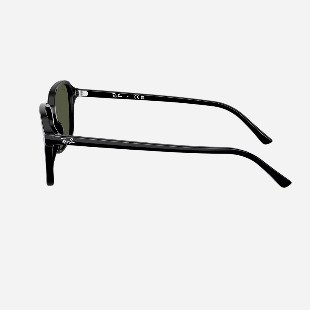 RayBan Raimond