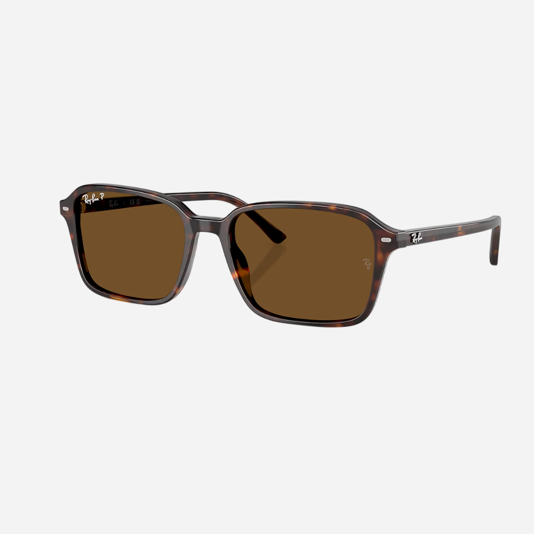 RayBan  Raimond