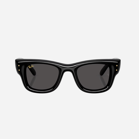 RayBan Wayfarer Puffer