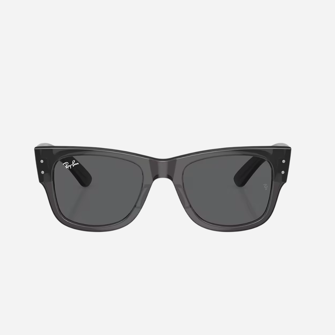 RayBan Mega Wayfarer