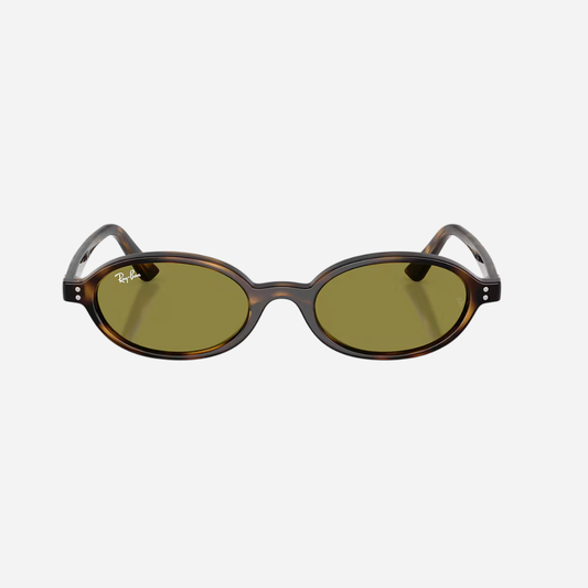 RayBan Khal