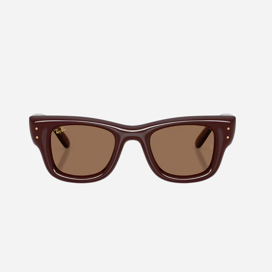 RayBan Wayfarer Puffer