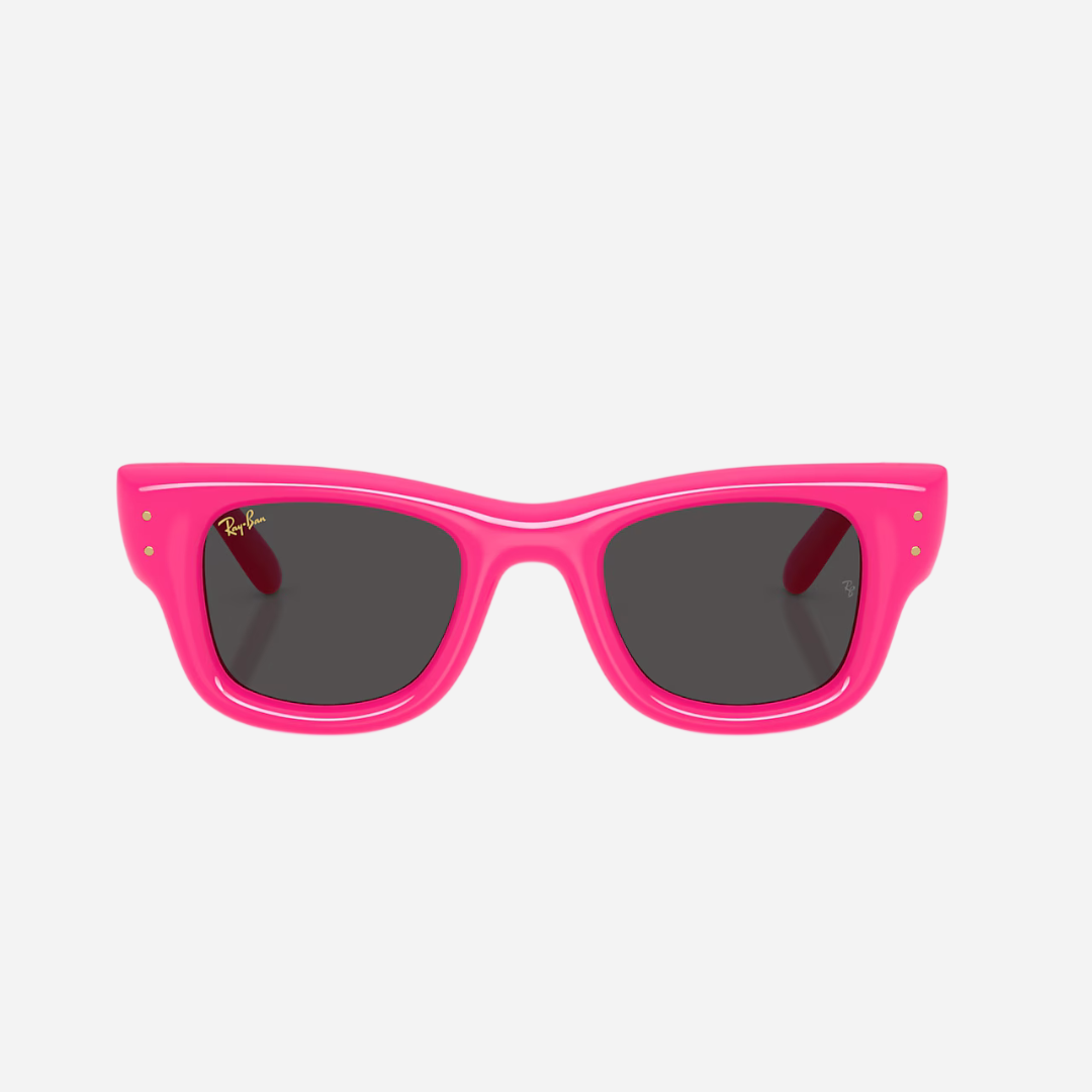 RayBan Wayfarer Puffer