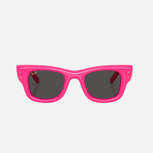 RayBan Wayfarer Puffer