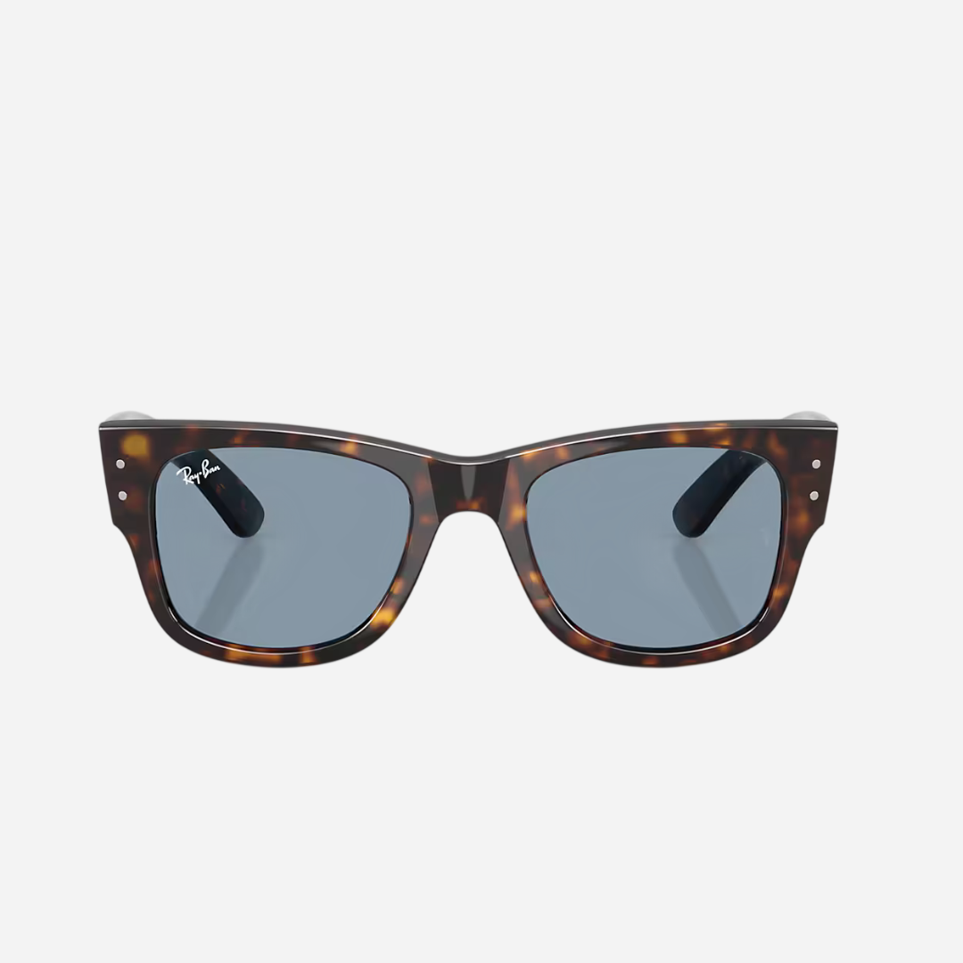 RayBan Mega Wayfarer