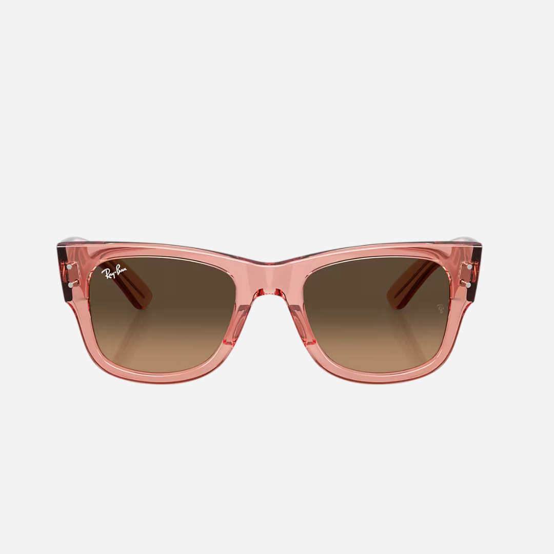 RayBan Mega Wayfarer