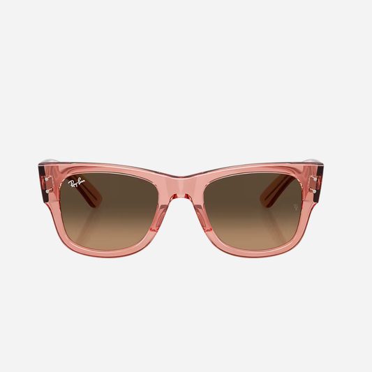 RayBan Mega Wayfarer