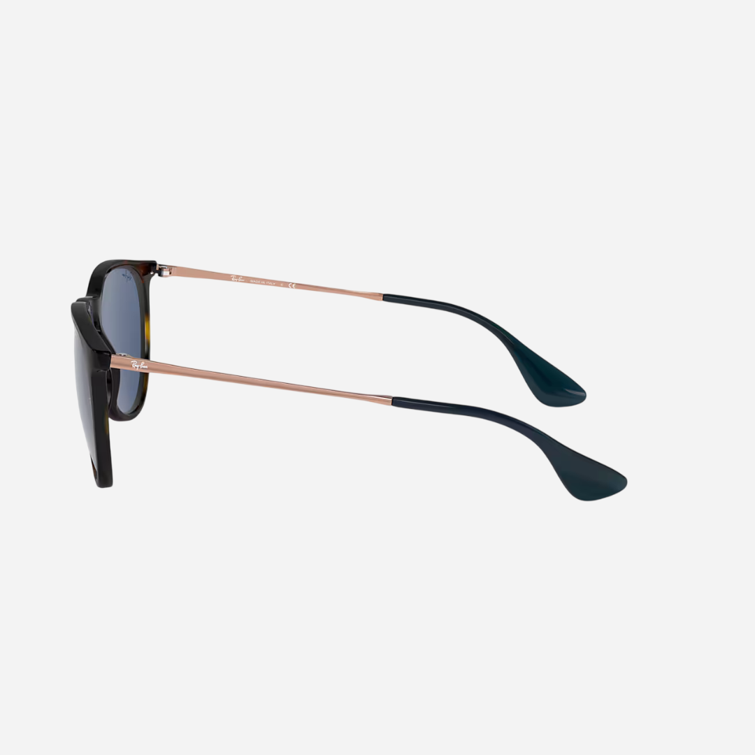 RayBan Erika