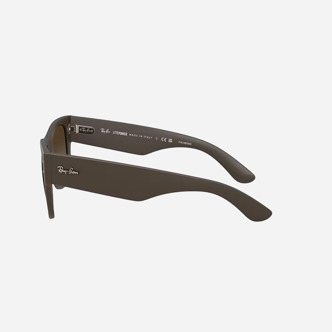 RayBan Mega Wayfarer