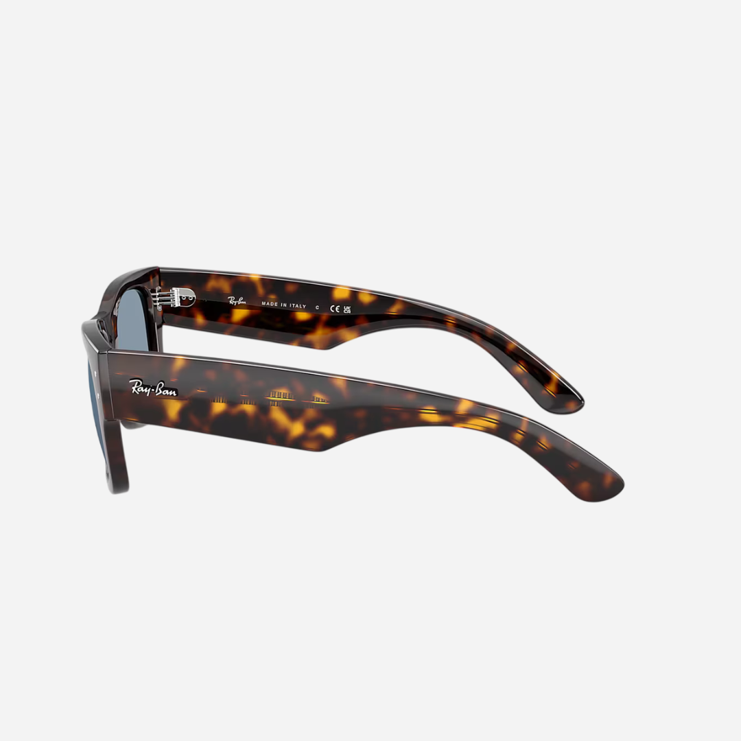 RayBan Mega Wayfarer