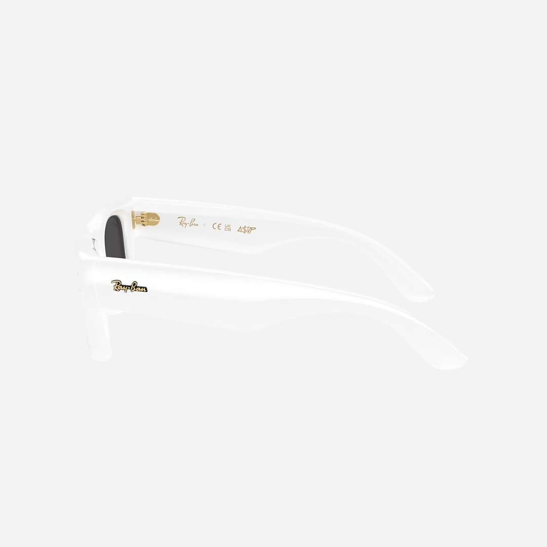 RayBan Wayfarer Puffer