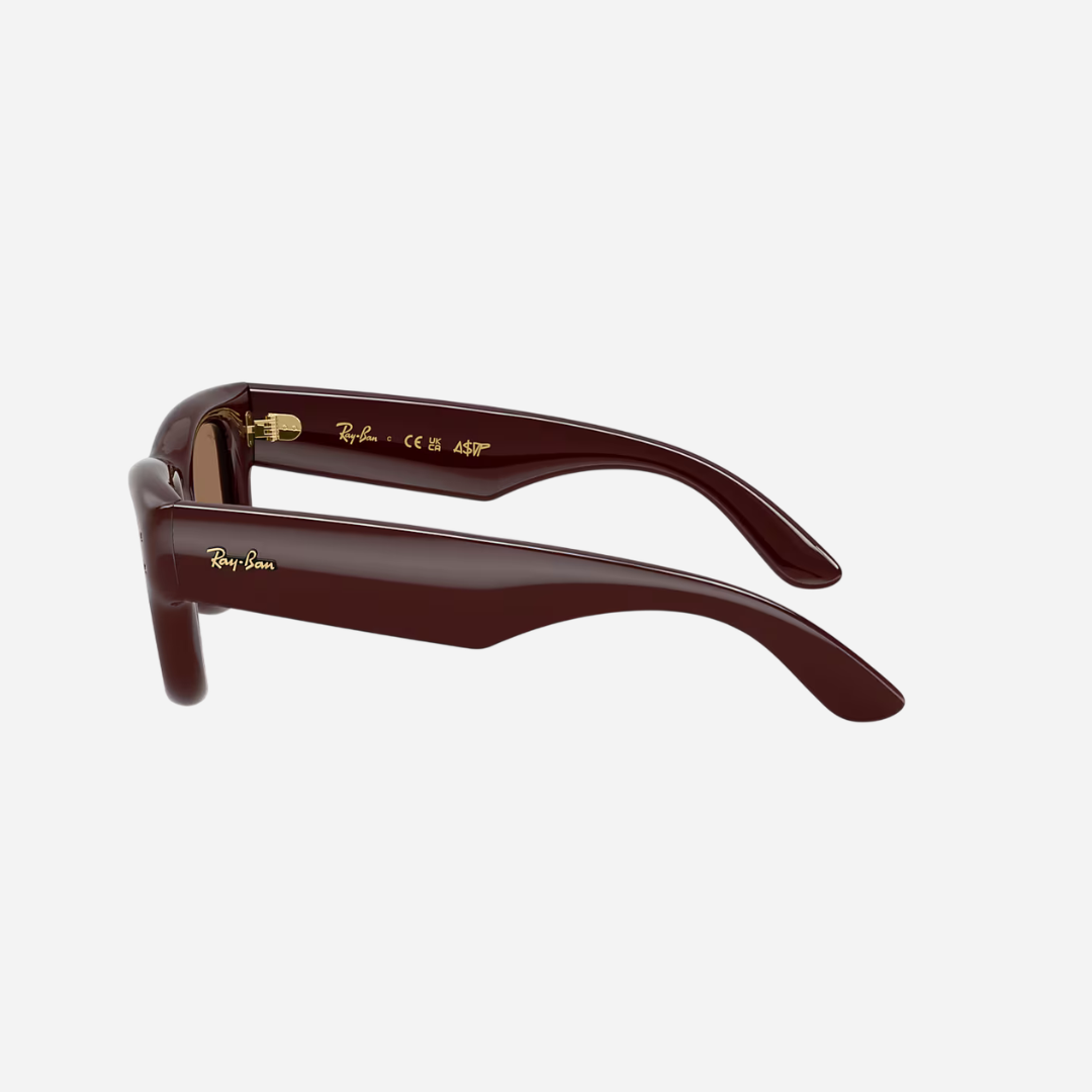 RayBan Wayfarer Puffer