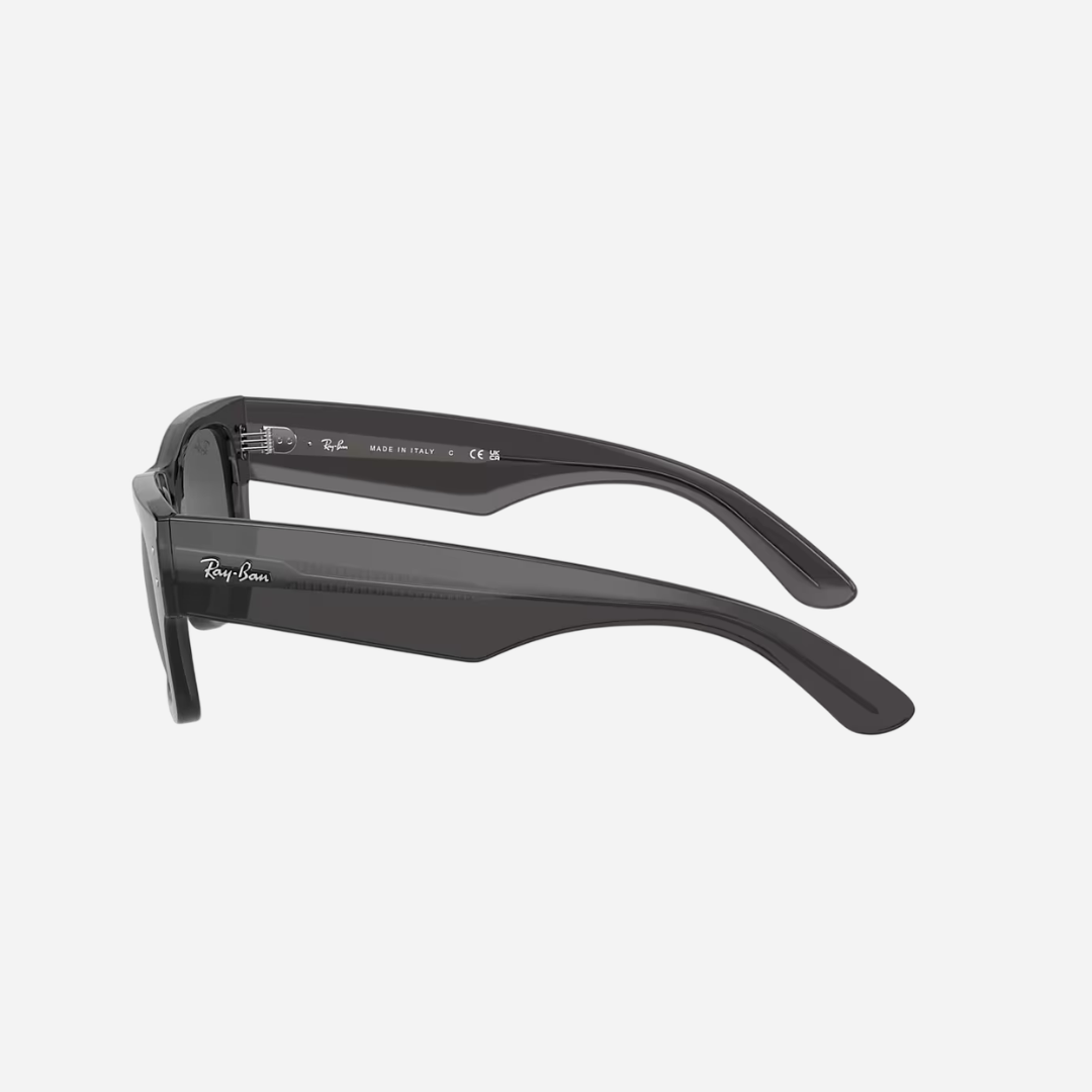 RayBan Mega Wayfarer