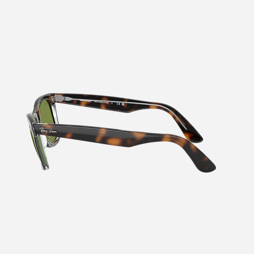 RayBan Wayfarer