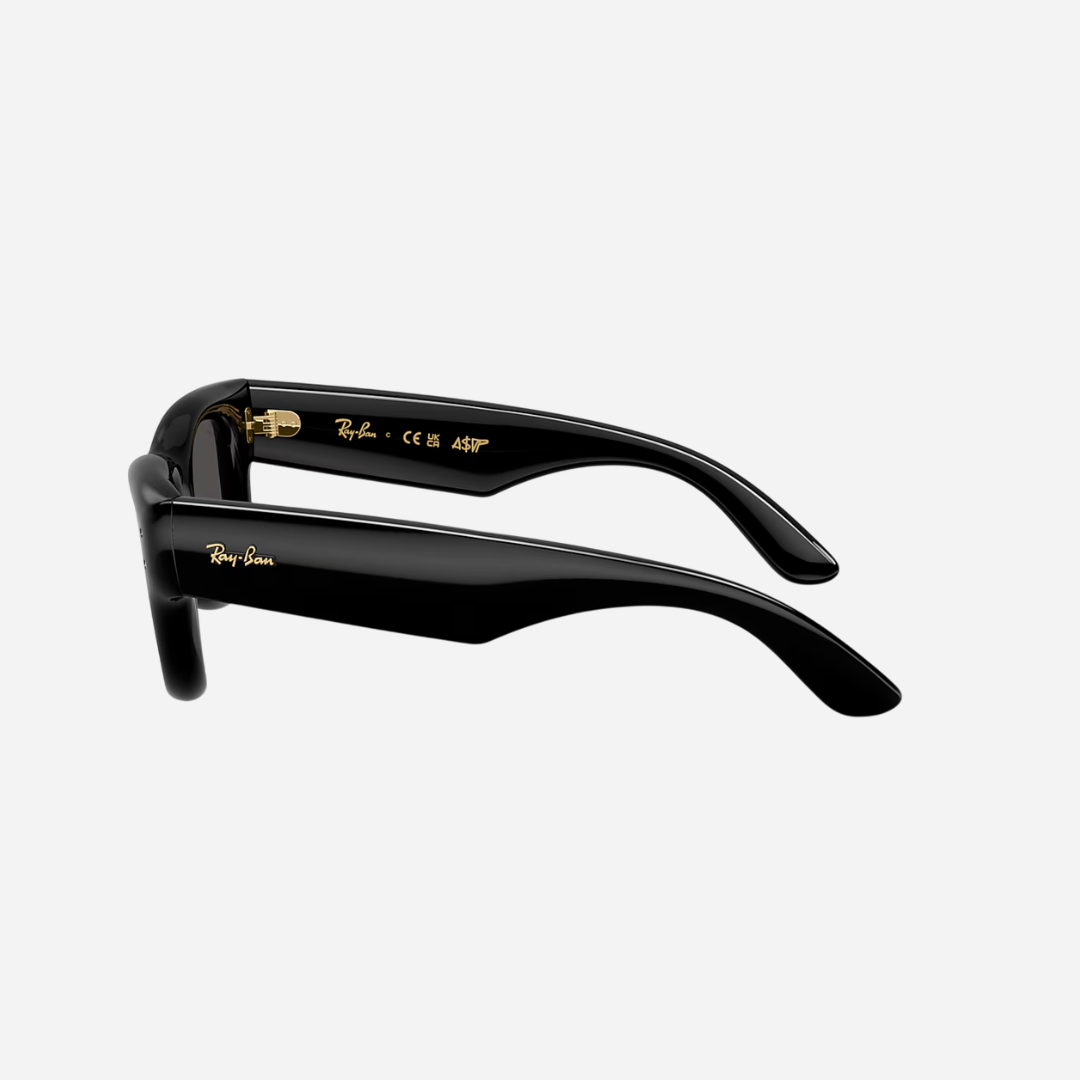 RayBan Wayfarer Puffer