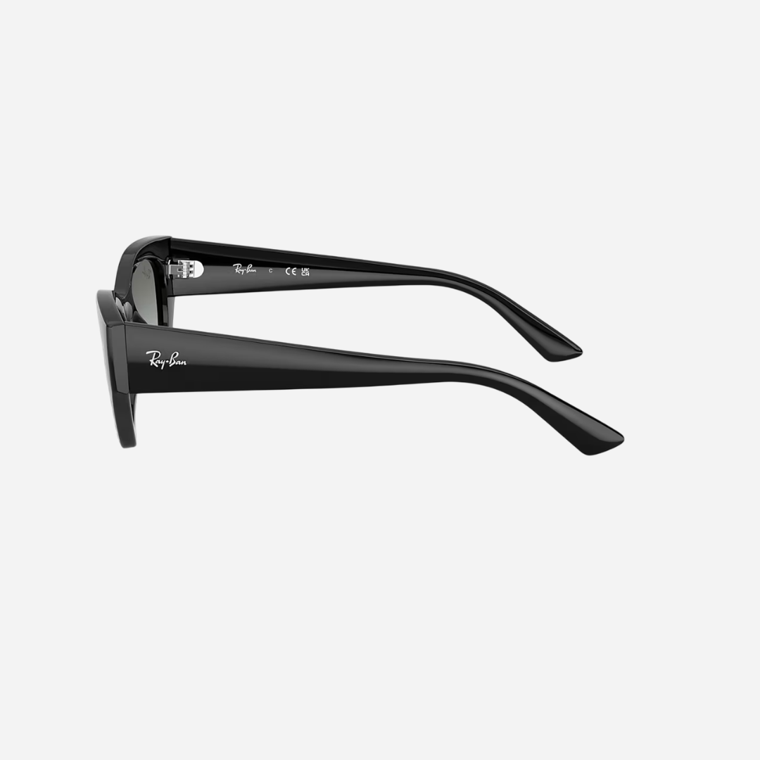 RayBan Zena