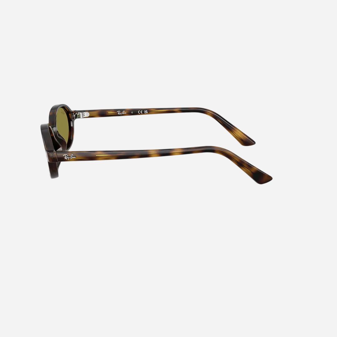 RayBan Khal