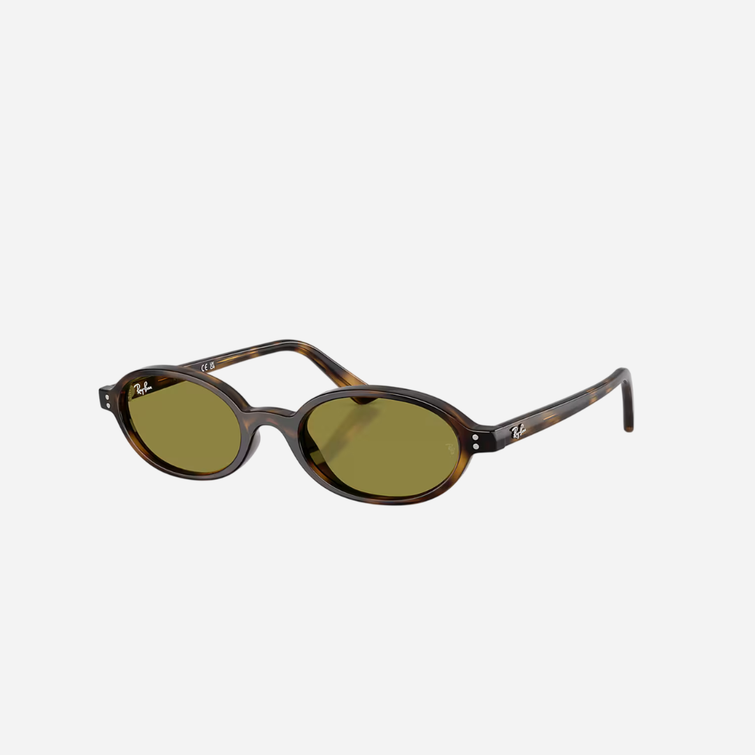 RayBan Khal