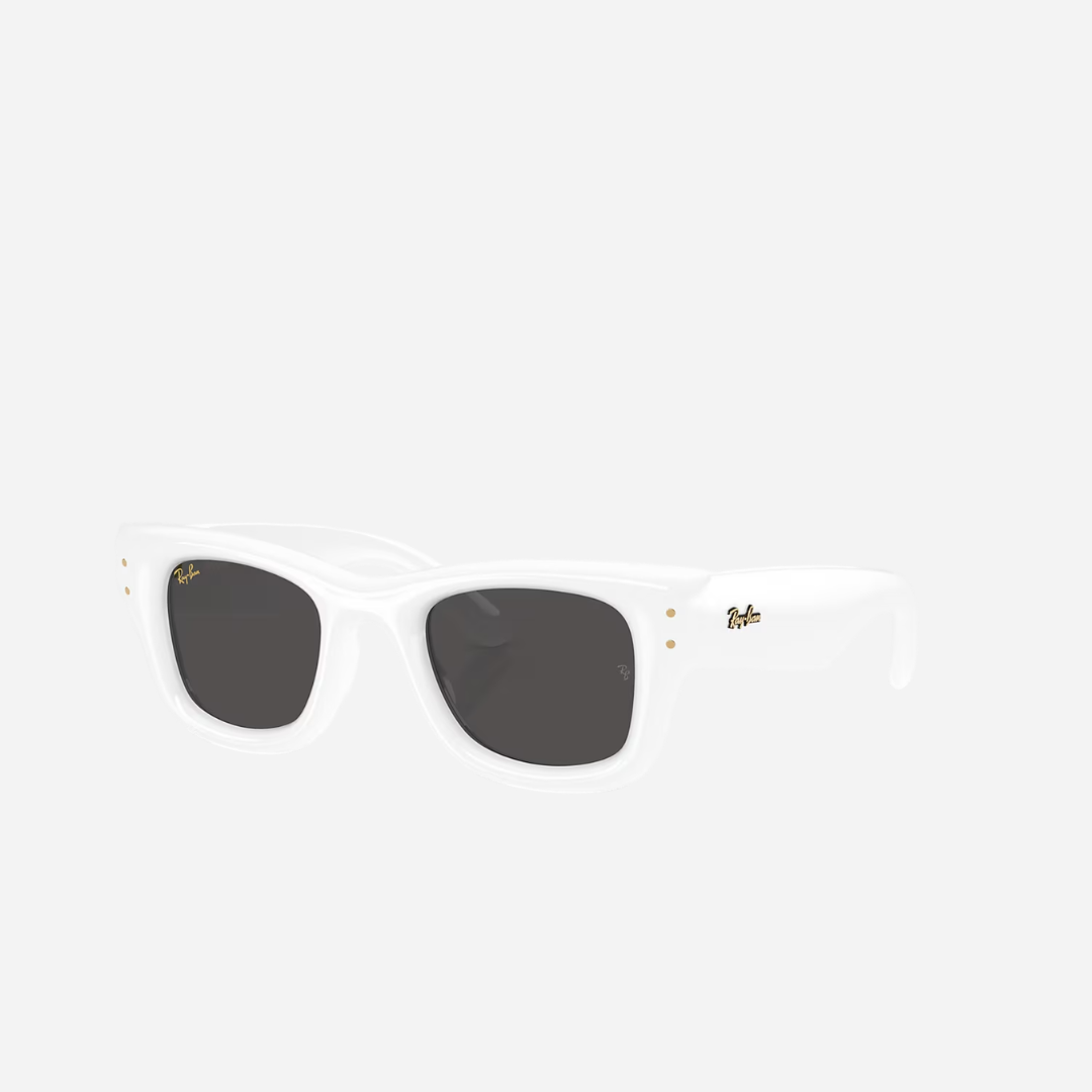RayBan Wayfarer Puffer